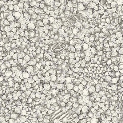 Cole & Son Ortensia Wallpaper in Black & White